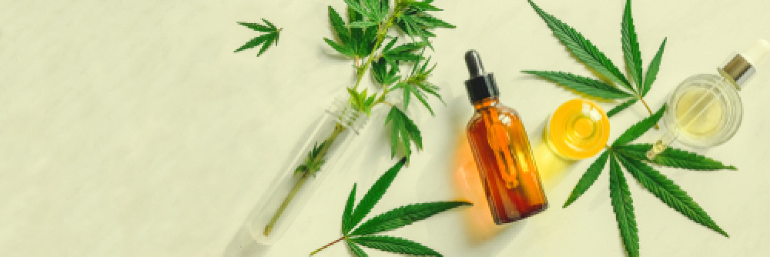 EuGH Urteil: CBD ist kein Suchtstoff; Produkte mit Hanfextrakt könnten bald Lebensmittel sein EuGH Urteil: CBD ist kein Suchtstoff; Produkte mit Hanfextrakt könnten bald Lebensmittel sein