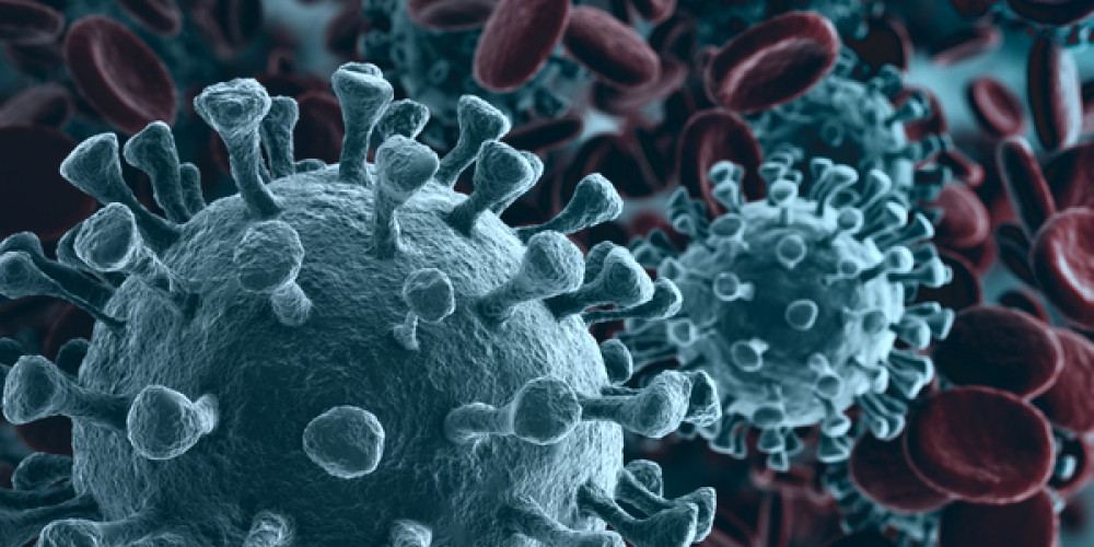 Coronavirus wird nicht über Lebensmitteln übertragen Coronavirus wird nicht über Lebensmitteln übertragen
