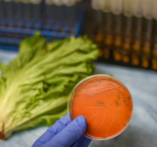 Food Association Germany: Guideline for Listeria Prevention Food Association Germany: Guideline for Listeria Prevention