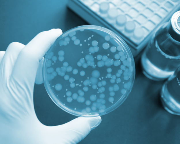 FDA stellt Mängel fest – Burkholderia, Pseudomonas, Staphylococcus FDA stellt Mängel fest – Burkholderia, Pseudomonas, Staphylococcus