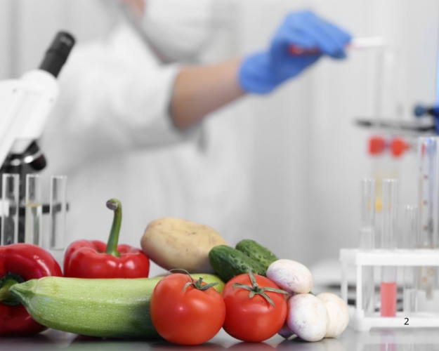 Chlorate and Perchlorate in Food – Origin and Evaluation Chlorate and Perchlorate in Food – Origin and Evaluation