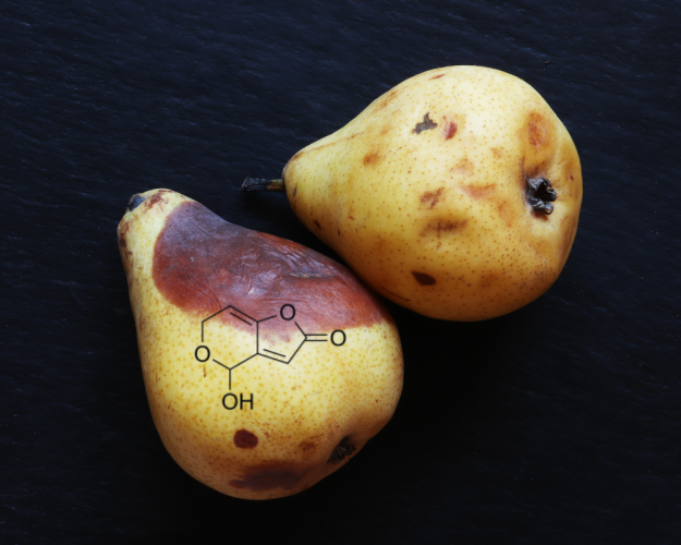 14.05.2025 - Nachweis von gesundheitsschädlichem Schimmelpilzgift Patulin in einem Birnensaft - Produktrückruf 14.05.2025 - Nachweis von gesundheitsschädlichem Schimmelpilzgift Patulin in einem Birnensaft - Produktrückruf