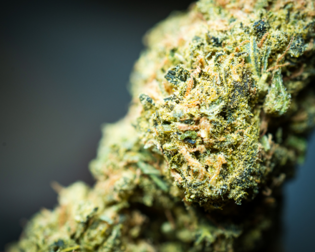 Delta-8-THC in Lebensmitteln: EFSA bewertet Risiken Delta-8-THC in Lebensmitteln: EFSA bewertet Risiken