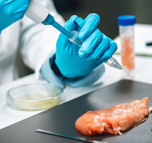 Protection against foodborne illnesses Protection against foodborne illnesses