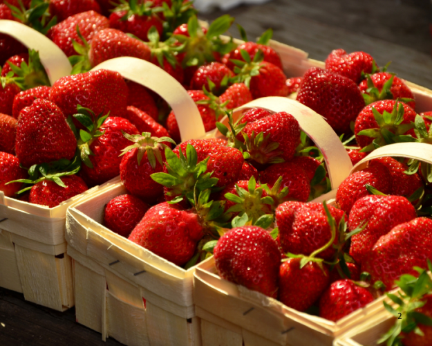 30.06.2025 - Mikrobiologische Untersuchungen von Erdbeeren durch das LAVES 30.06.2025 - Mikrobiologische Untersuchungen von Erdbeeren durch das LAVES